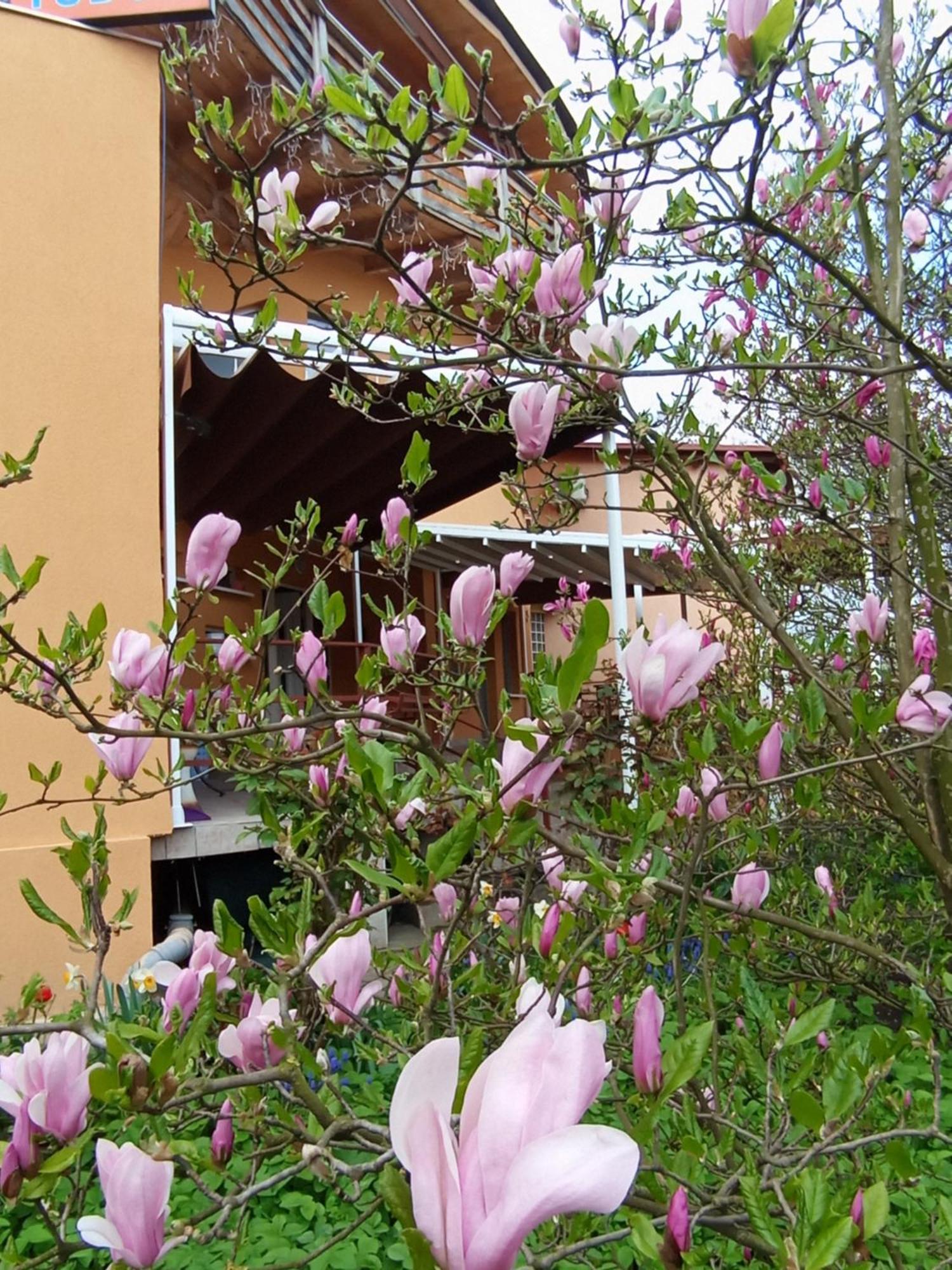 Casa Tudor Turda Bagian luar foto