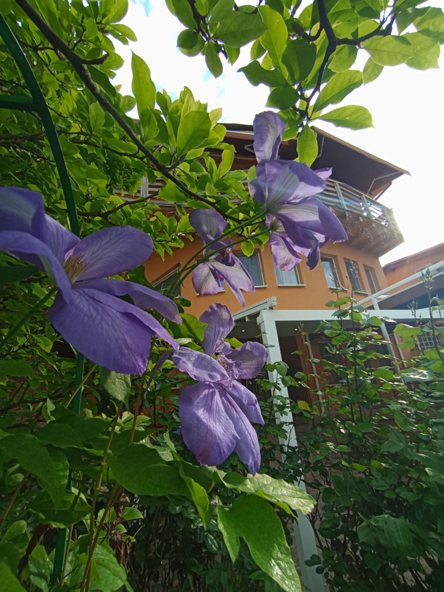 Casa Tudor Turda Bagian luar foto