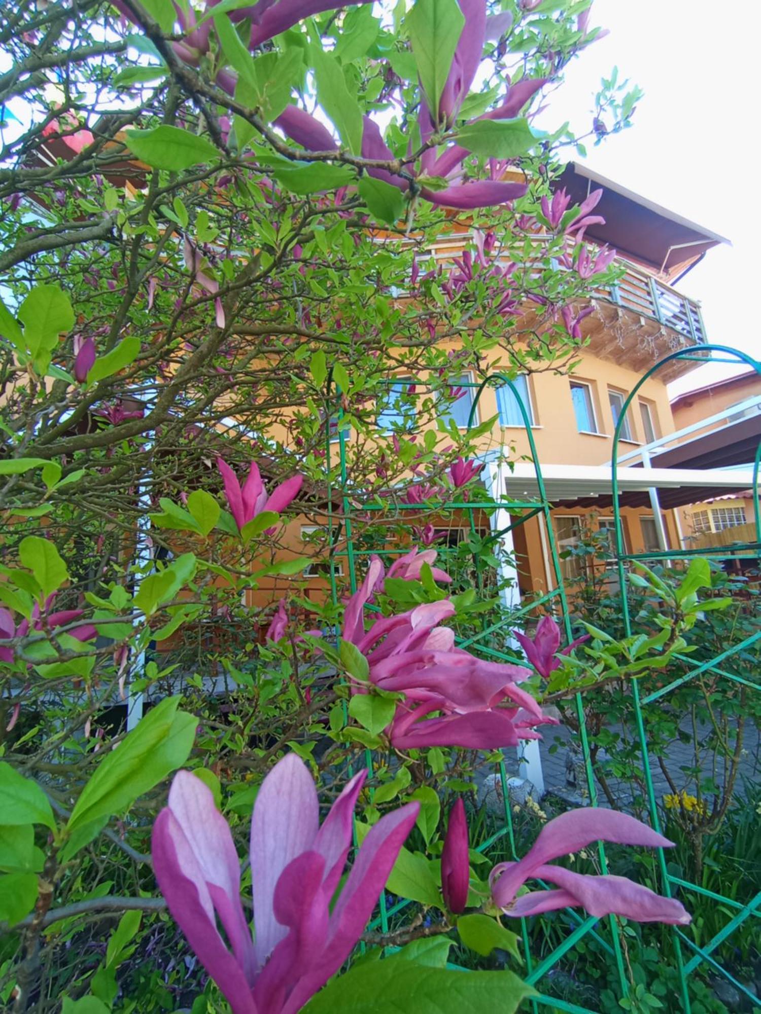 Casa Tudor Turda Bagian luar foto